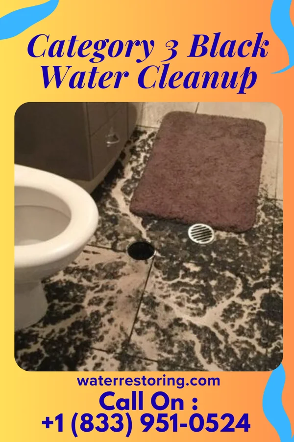 Category 3 Black Water Cleanup in Albany, MO
