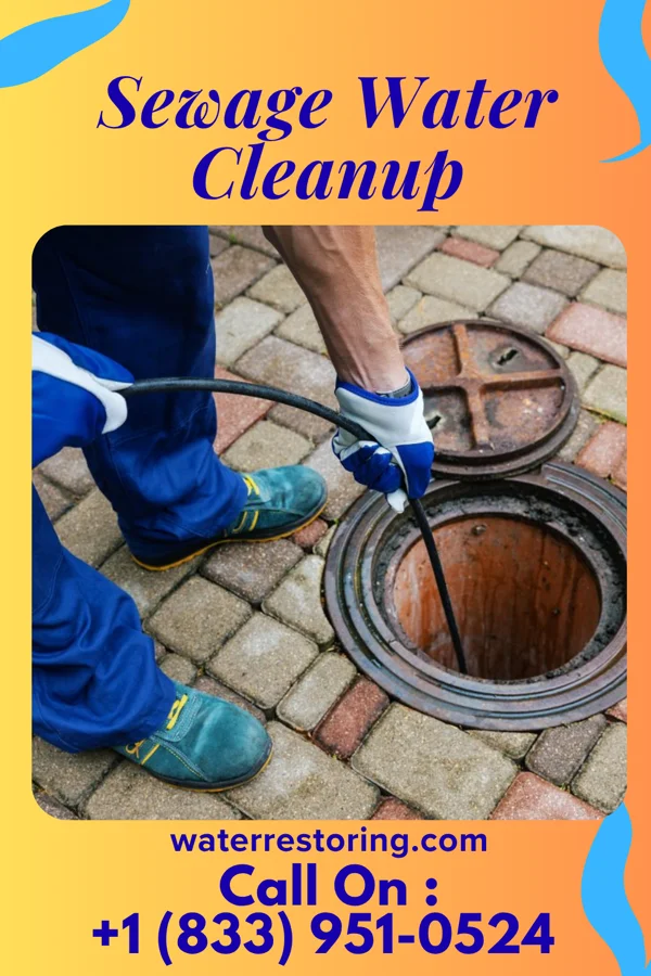 Sewage Water Cleanup in Albany, MO